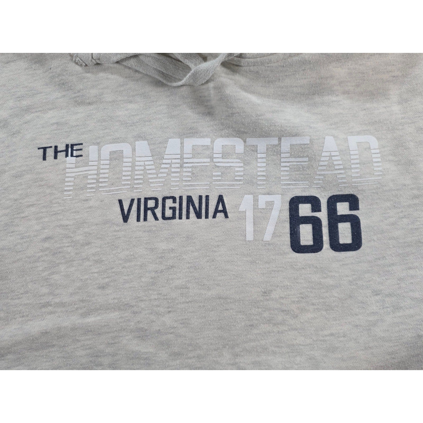 BigCotton The Homestead Virginia 1766 Graphic Hoodie – XL